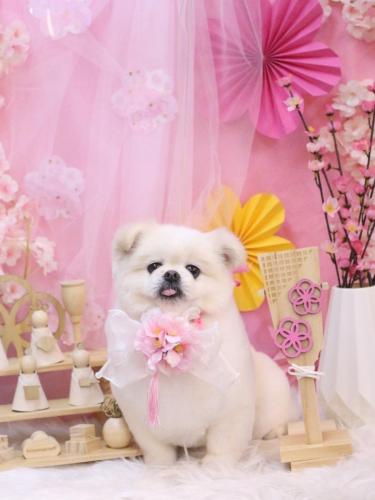 20250306ララちゃん